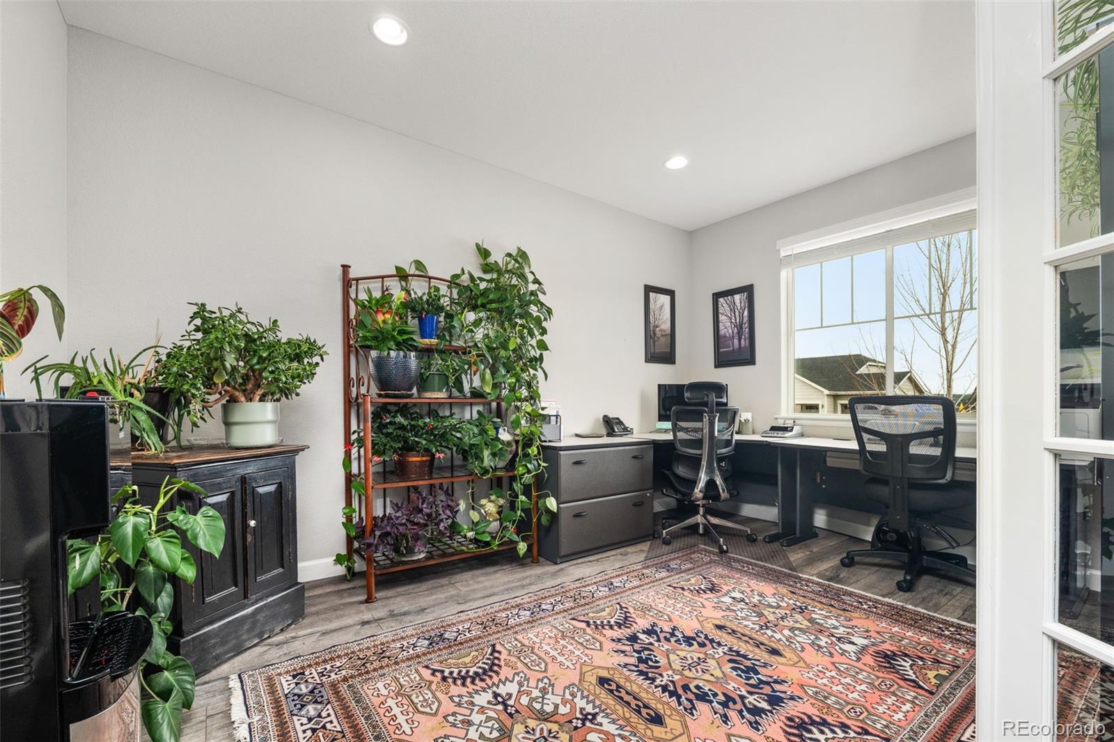 6749 Mentha Drive Castle Rock CO 80108