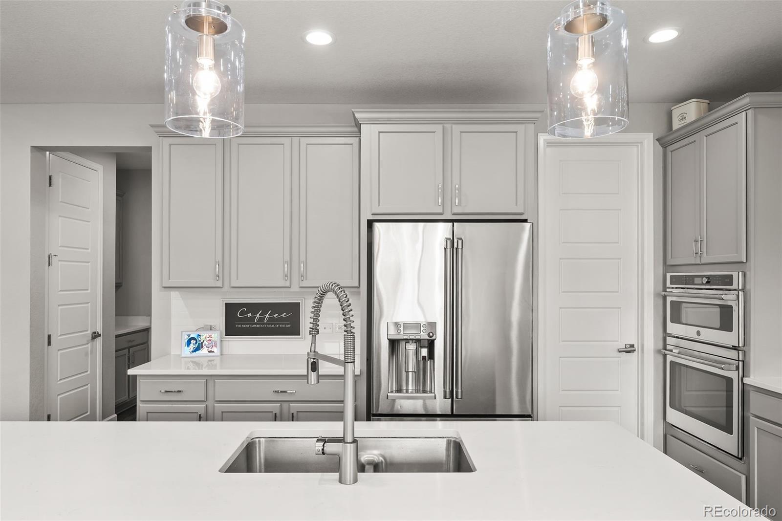 6749 Mentha Drive Castle Rock CO 80108