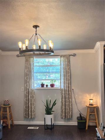 434 Blue Mountain Drive Florissant CO 80816