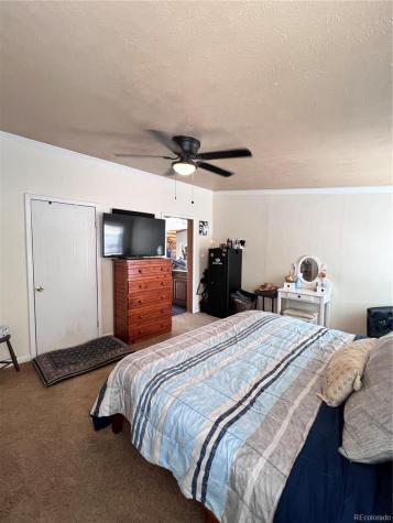 434 Blue Mountain Drive Florissant CO 80816