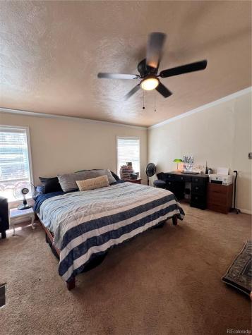 434 Blue Mountain Drive Florissant CO 80816