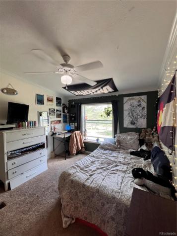 434 Blue Mountain Drive Florissant CO 80816