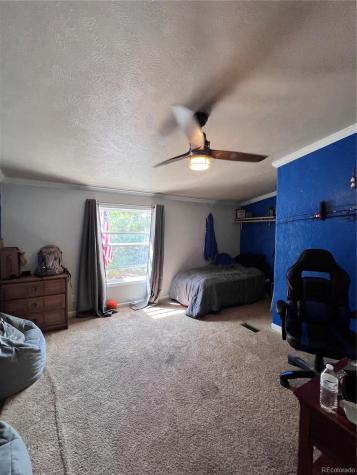 434 Blue Mountain Drive Florissant CO 80816