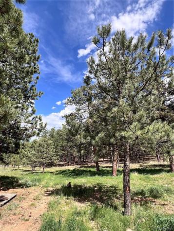 434 Blue Mountain Drive Florissant CO 80816