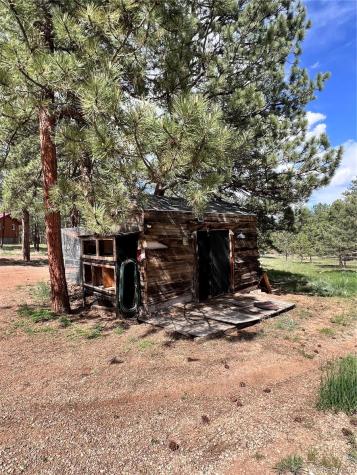 434 Blue Mountain Drive Florissant CO 80816