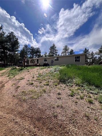 434 Blue Mountain Drive Florissant CO 80816