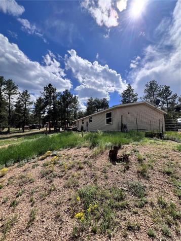 434 Blue Mountain Drive Florissant CO 80816
