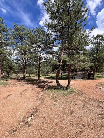 434 Blue Mountain Drive Florissant CO 80816