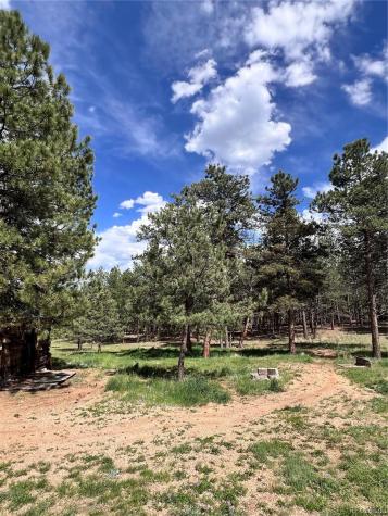 434 Blue Mountain Drive Florissant CO 80816