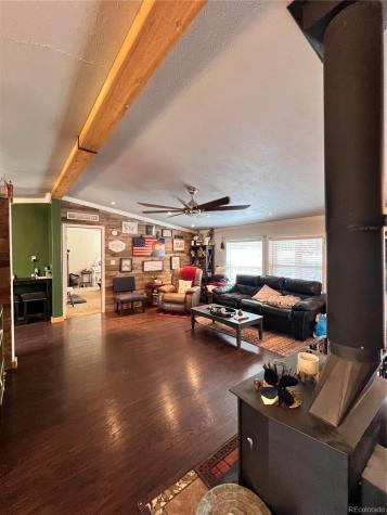 434 Blue Mountain Drive Florissant CO 80816