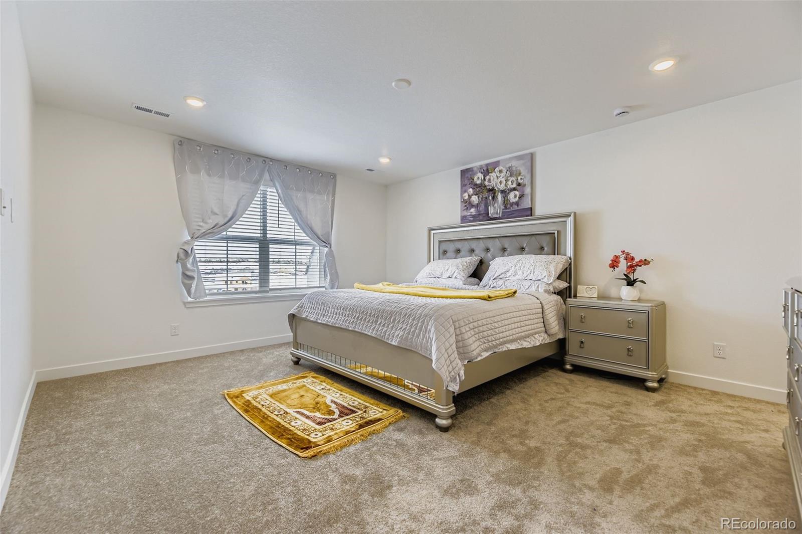 10912 Snowdon Street Parker CO 80134