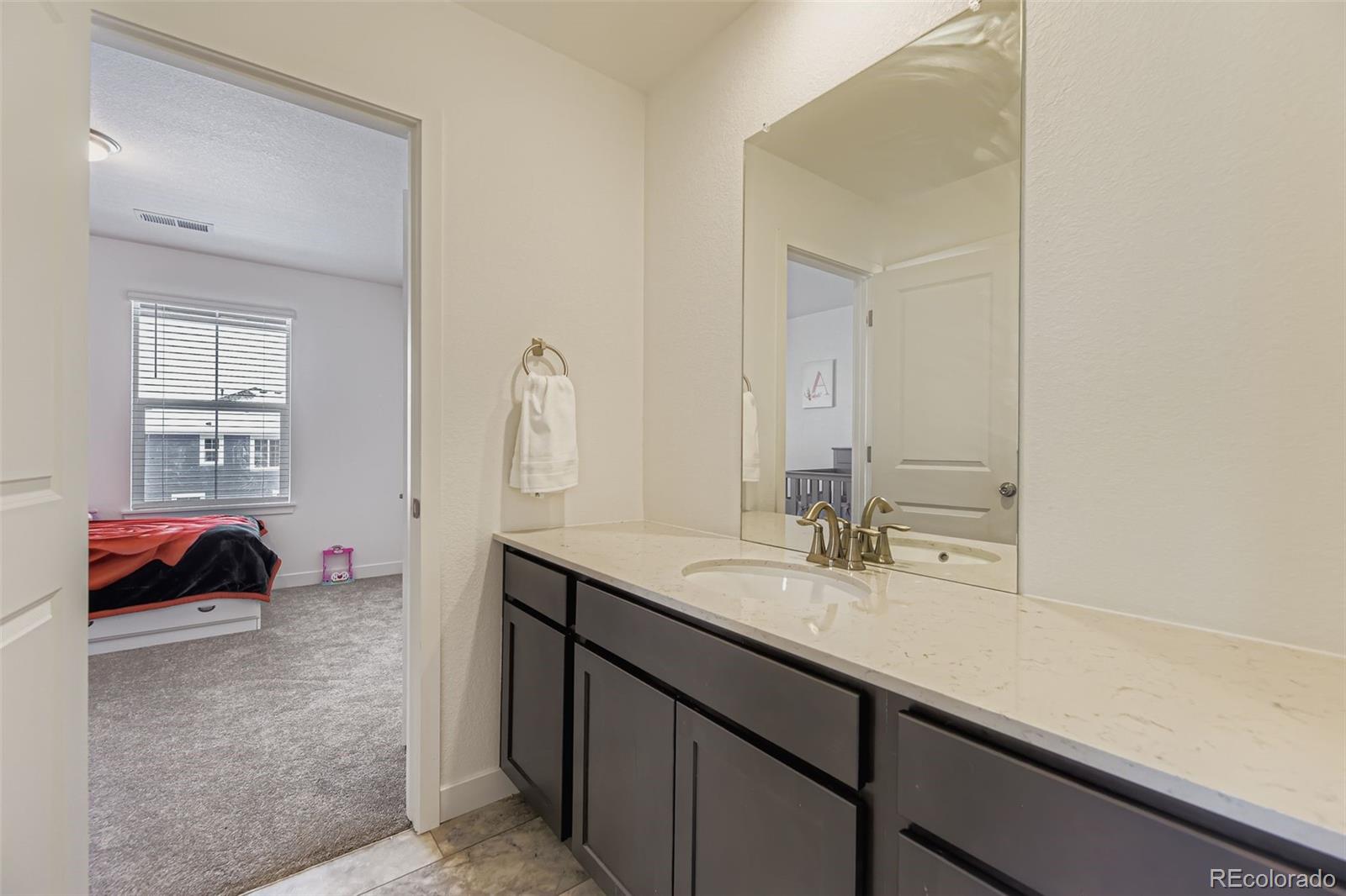 10912 Snowdon Street Parker CO 80134