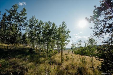 2456 W Longbow Drive Como CO 80432