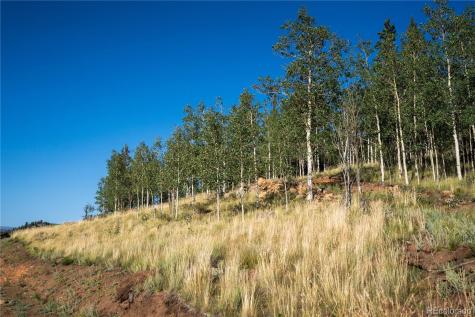 2456 W Longbow Drive Como CO 80432