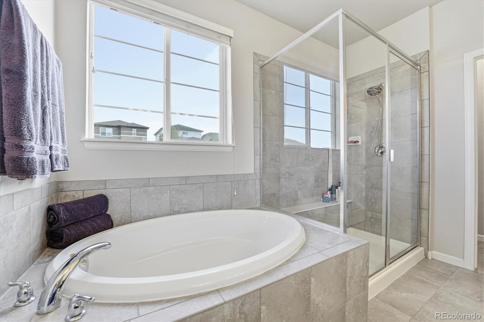 3308 Riverwood Way Castle Rock CO 80109