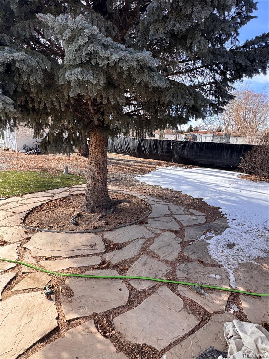 2406 Park Avenue Alamosa CO 81101