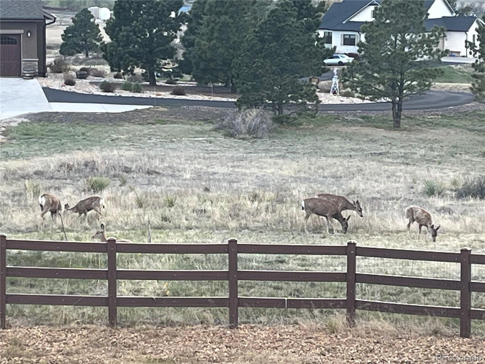 7520 Lost Lake Drive Franktown CO 80116