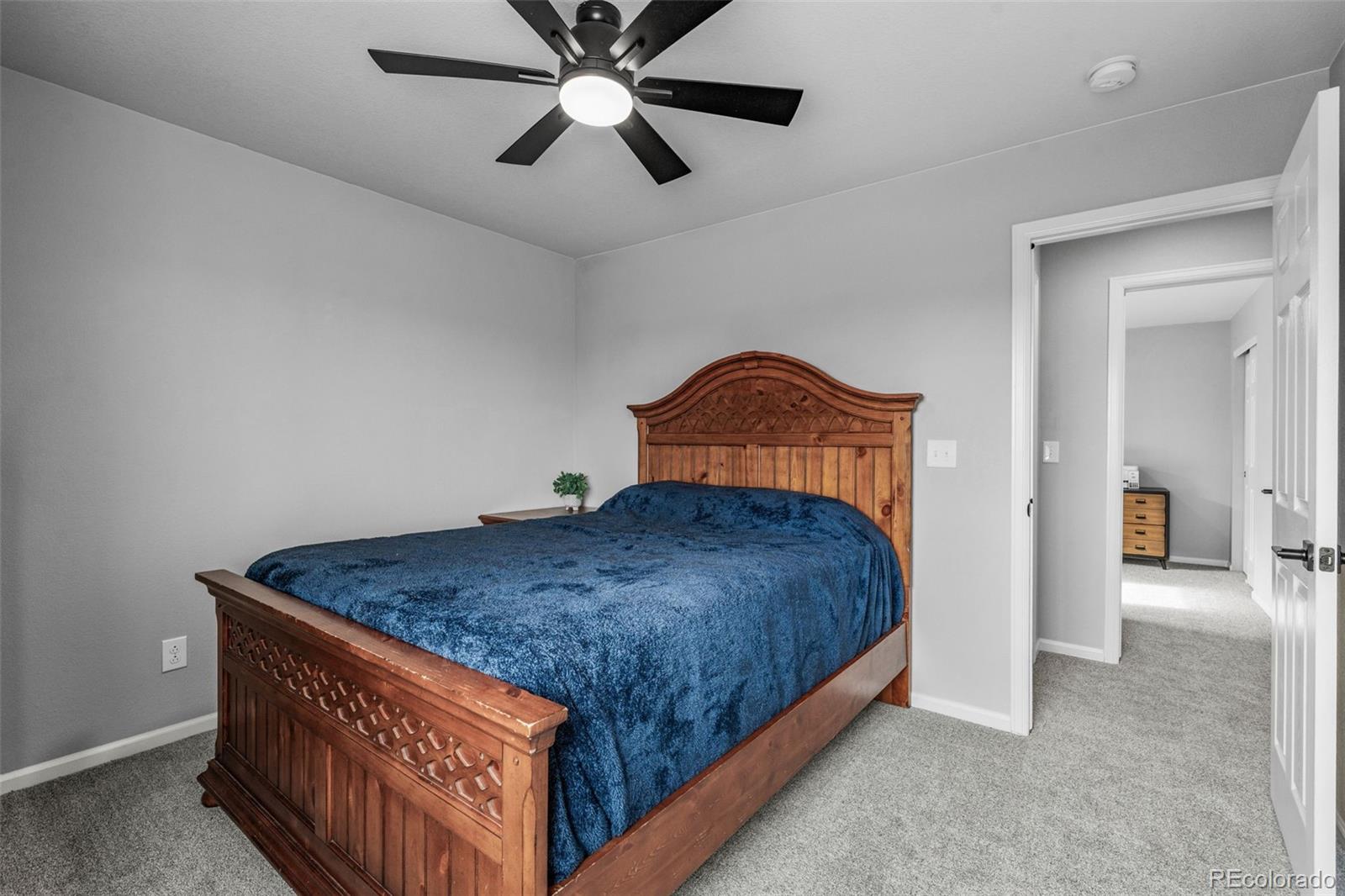 512 Blue Teal Drive Castle Rock CO 80104