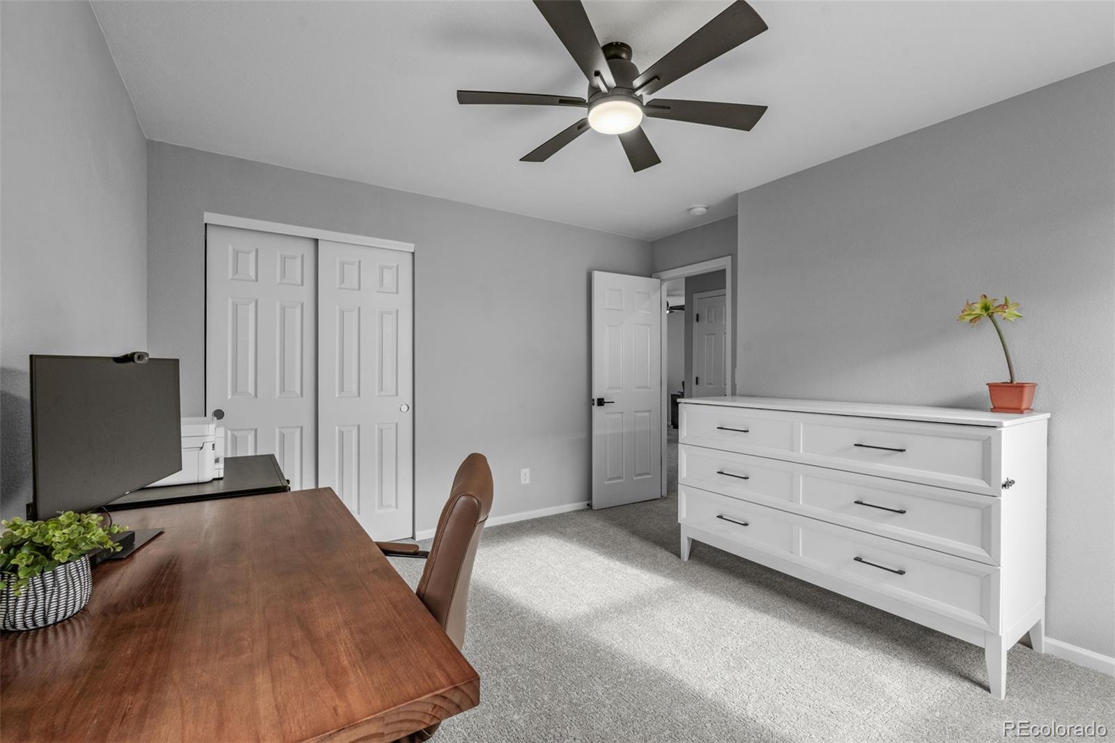 512 Blue Teal Drive Castle Rock CO 80104
