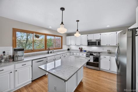 73 Buckthorn Drive Littleton CO 80127