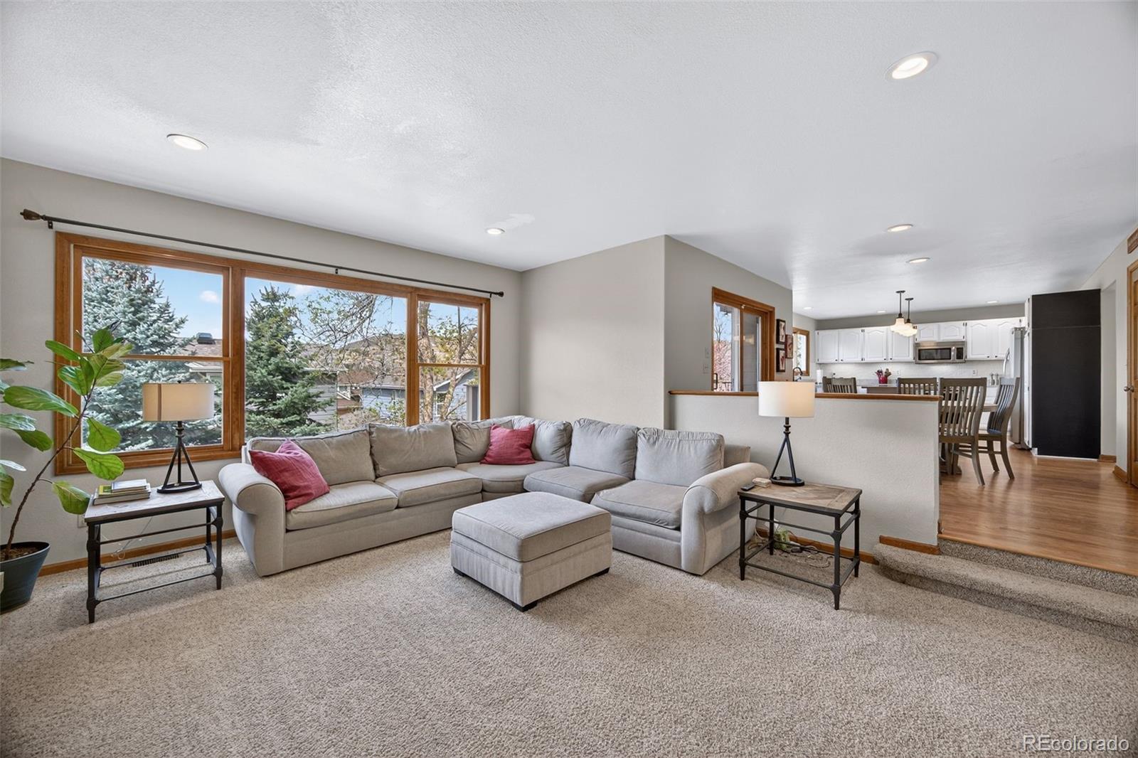 73 Buckthorn Drive Littleton CO 80127