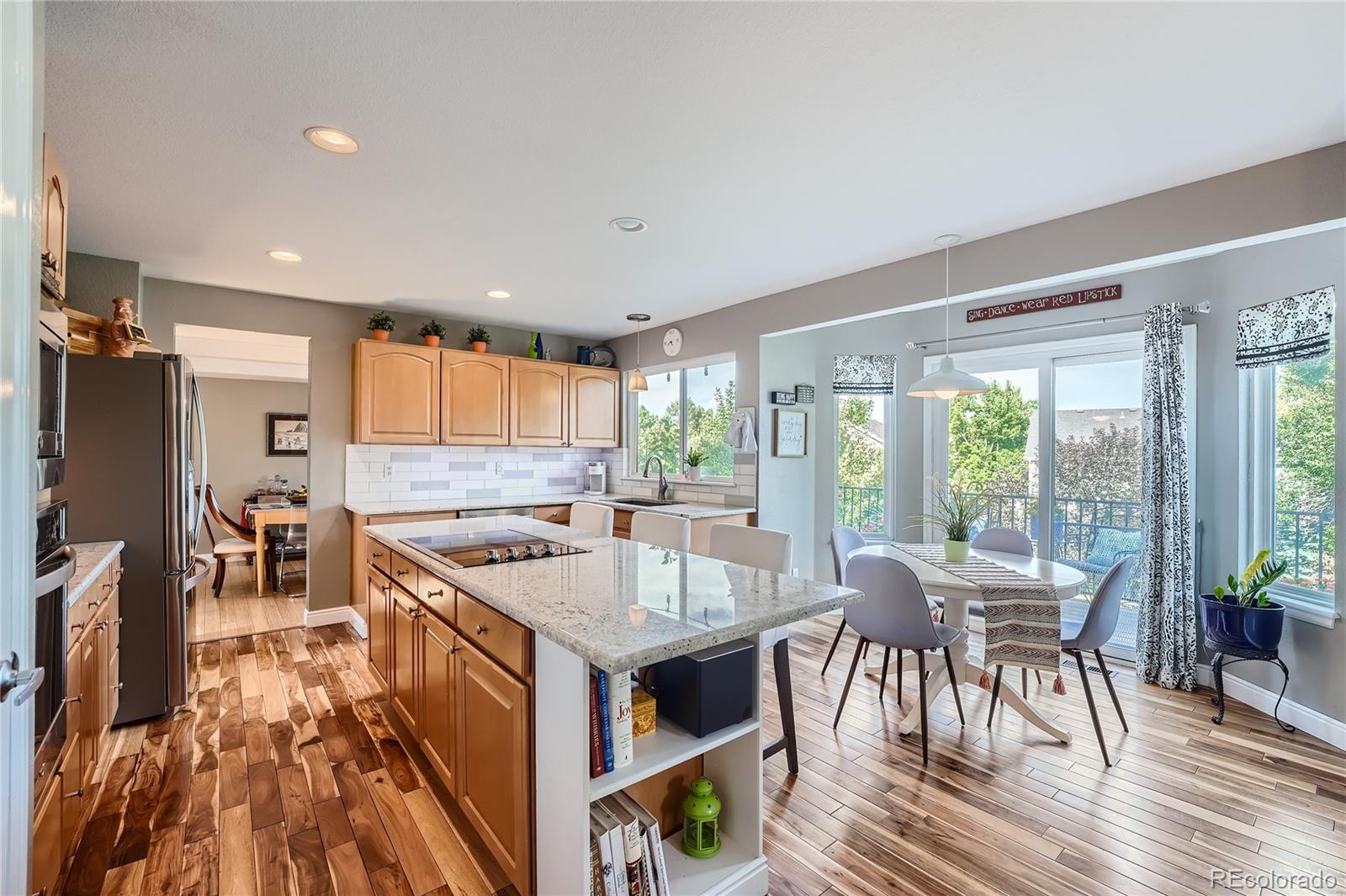9538 La Quinta Drive Lone Tree CO 80124