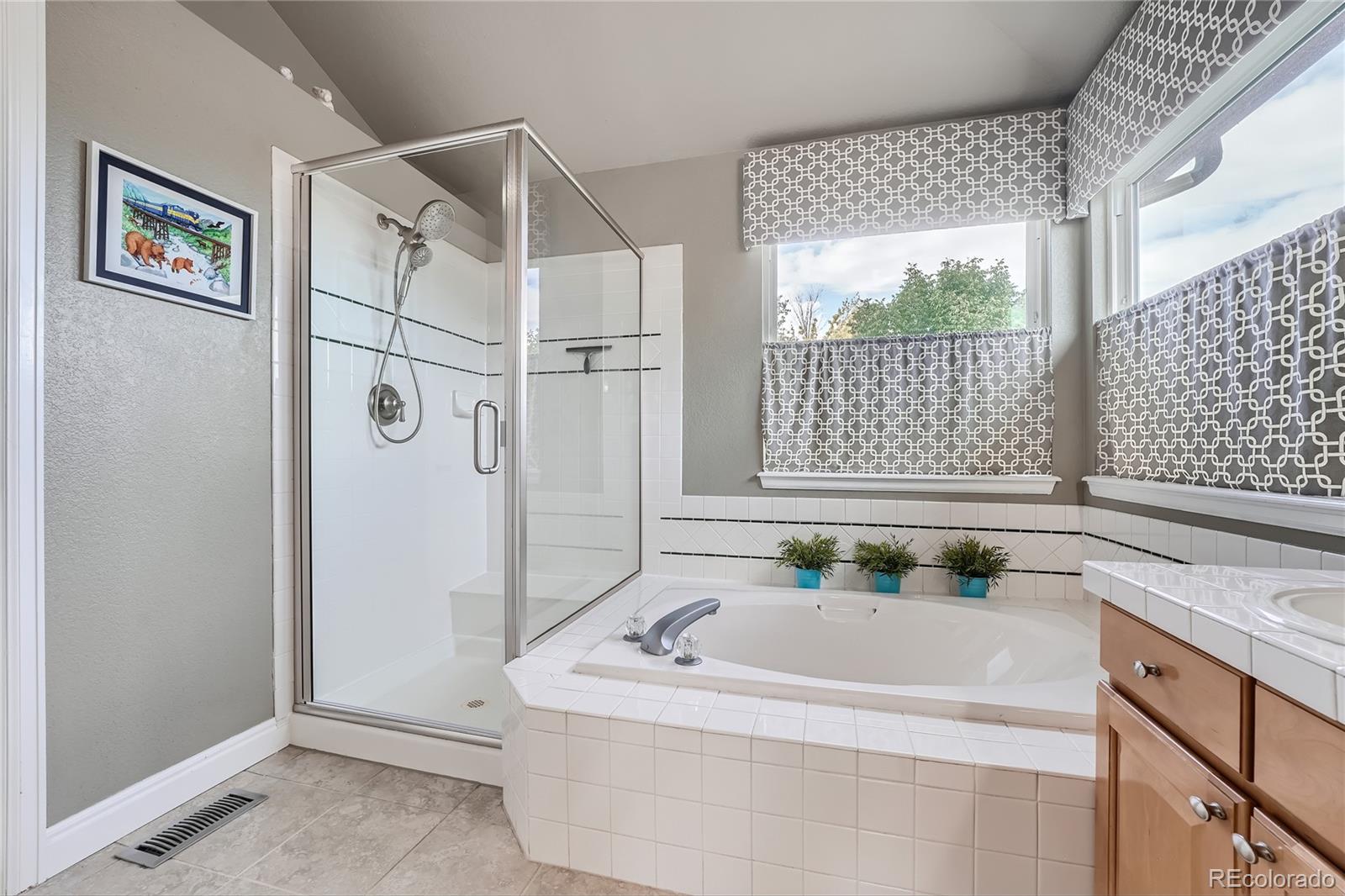 9538 La Quinta Drive Lone Tree CO 80124