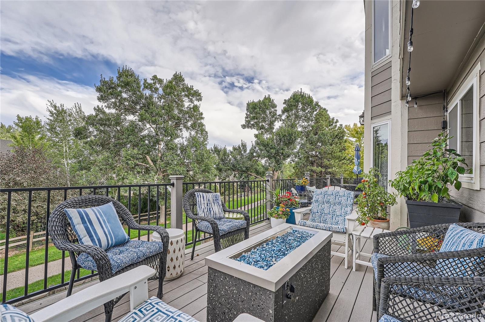 9538 La Quinta Drive Lone Tree CO 80124