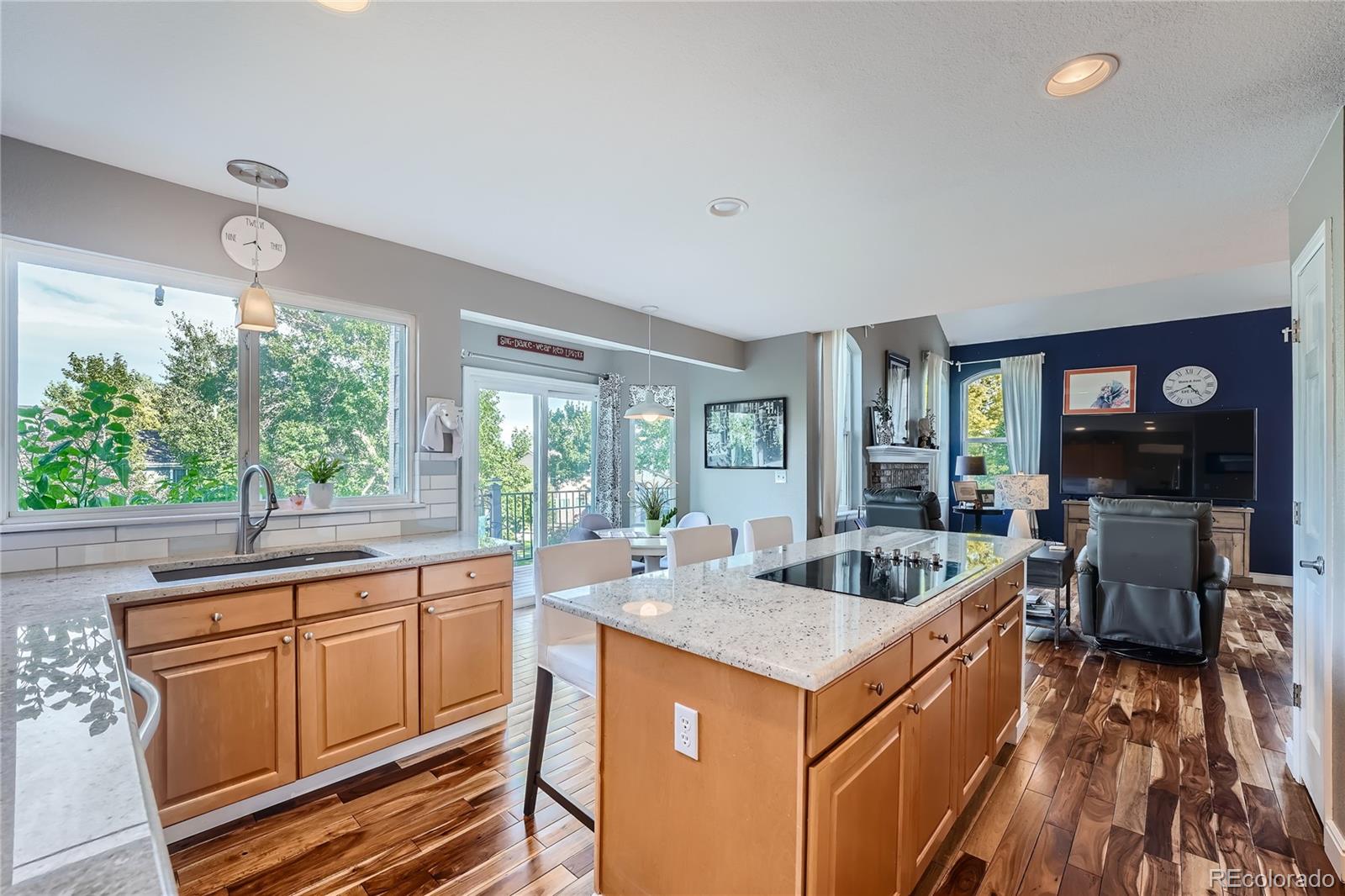9538 La Quinta Drive Lone Tree CO 80124