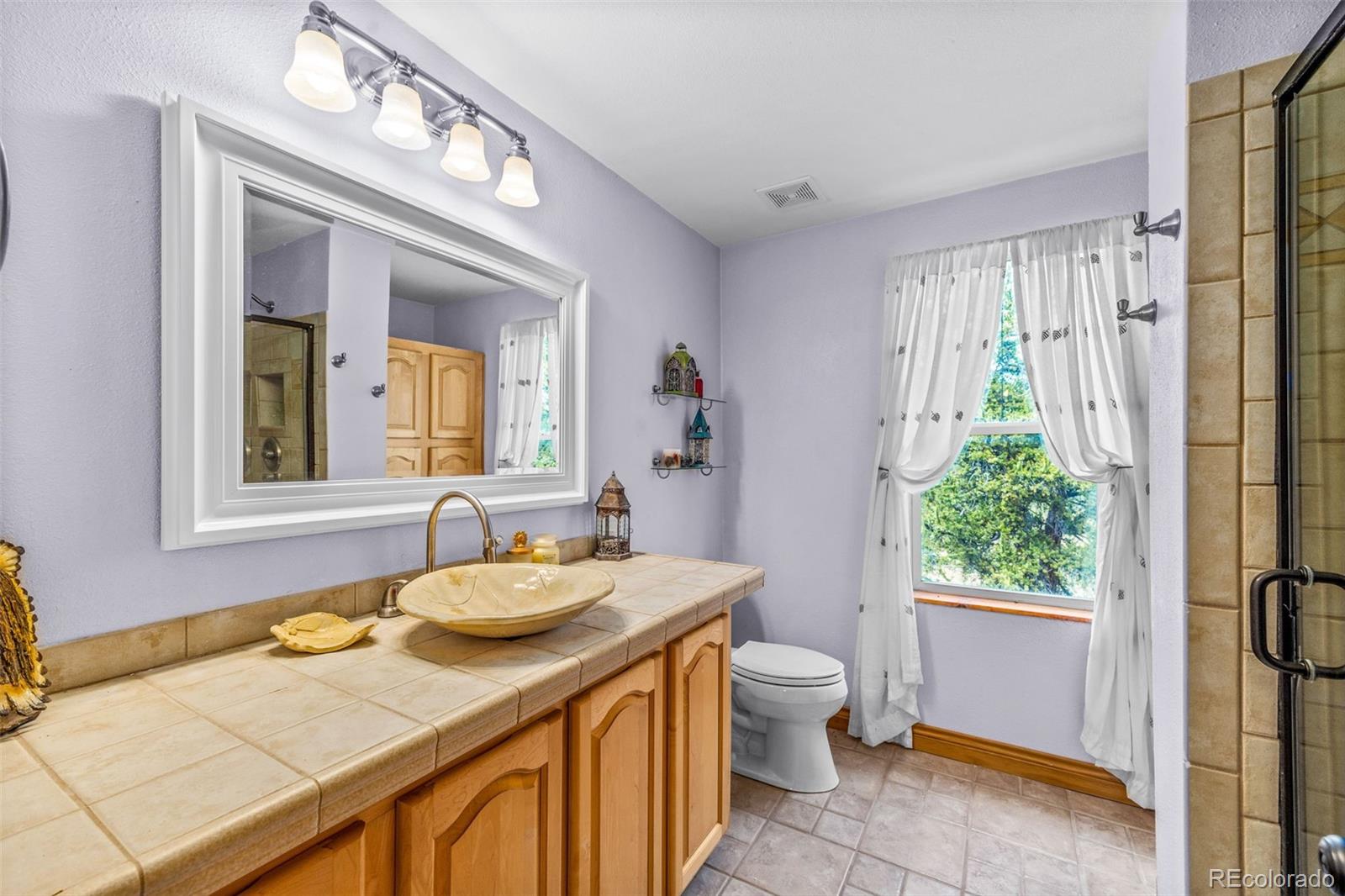 2020 Mullenville Road Fairplay CO 80440