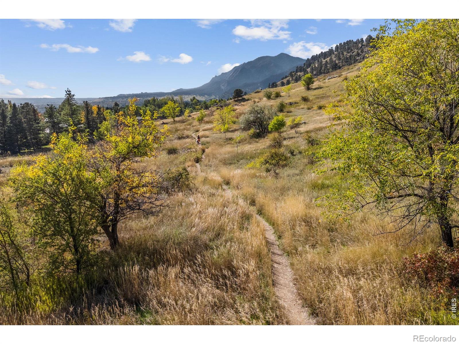 255 Linden Drive Boulder CO 80304