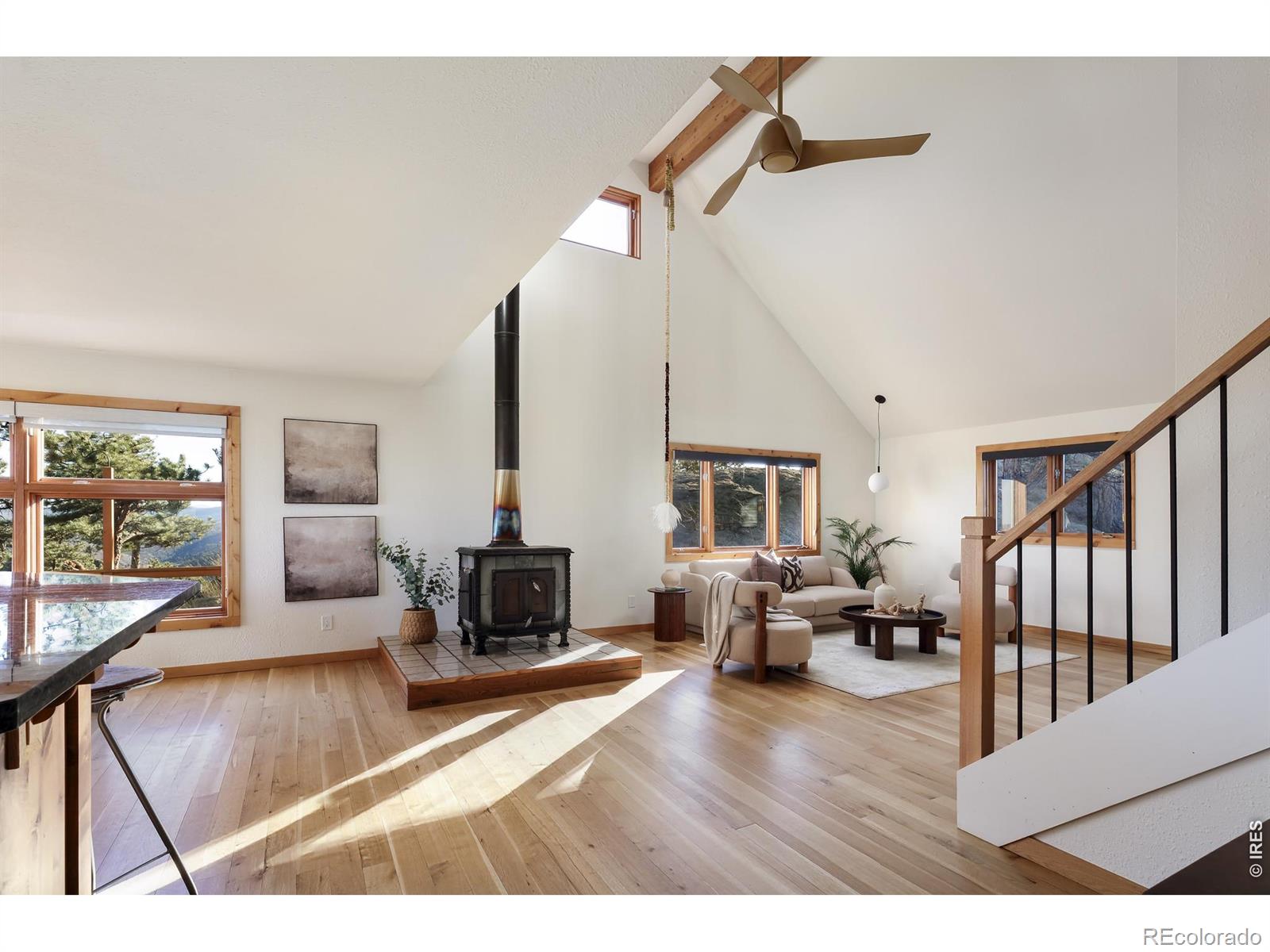 1893 Colard Lane Lyons CO 80540
