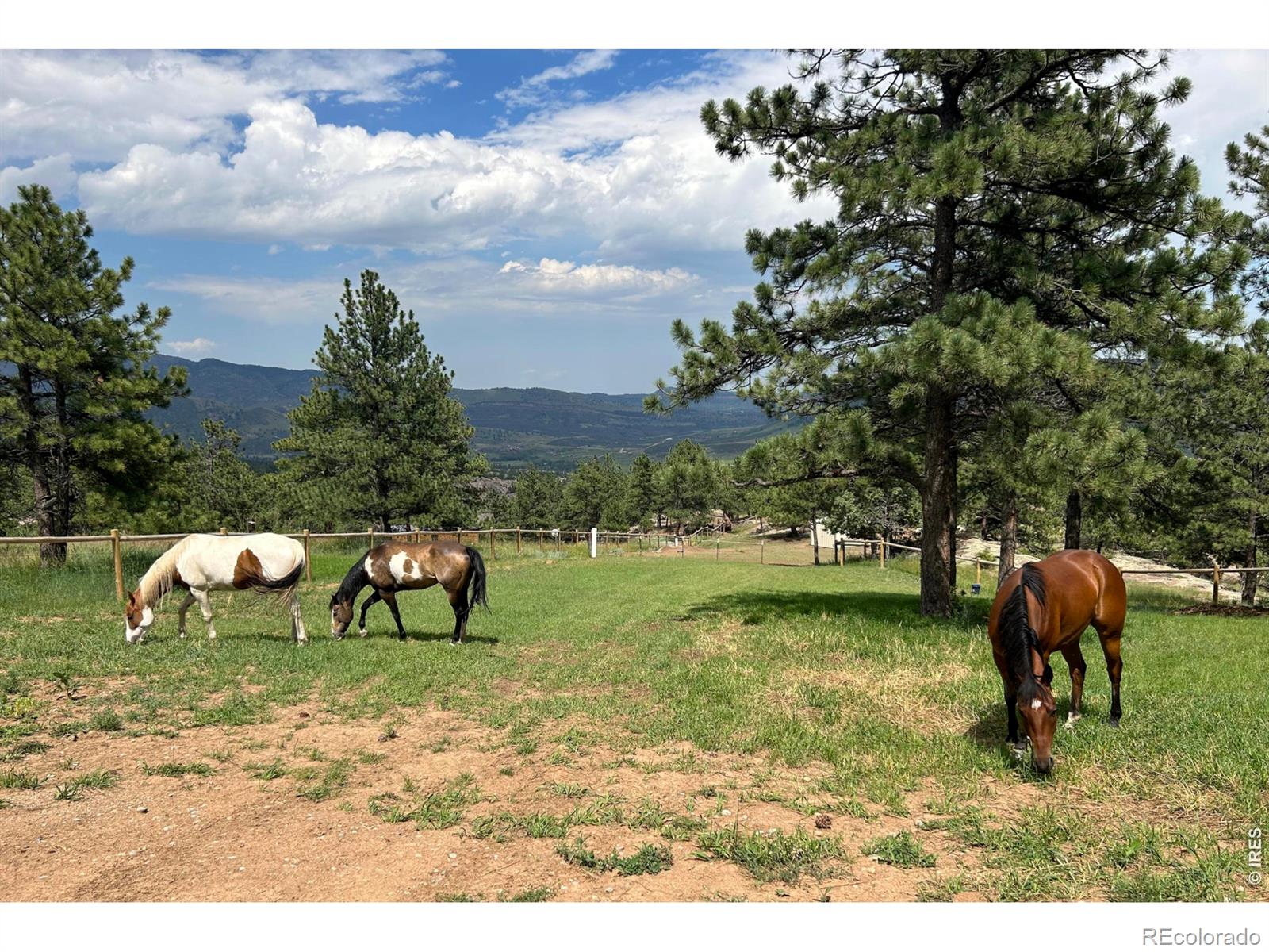 1893 Colard Lane Lyons CO 80540
