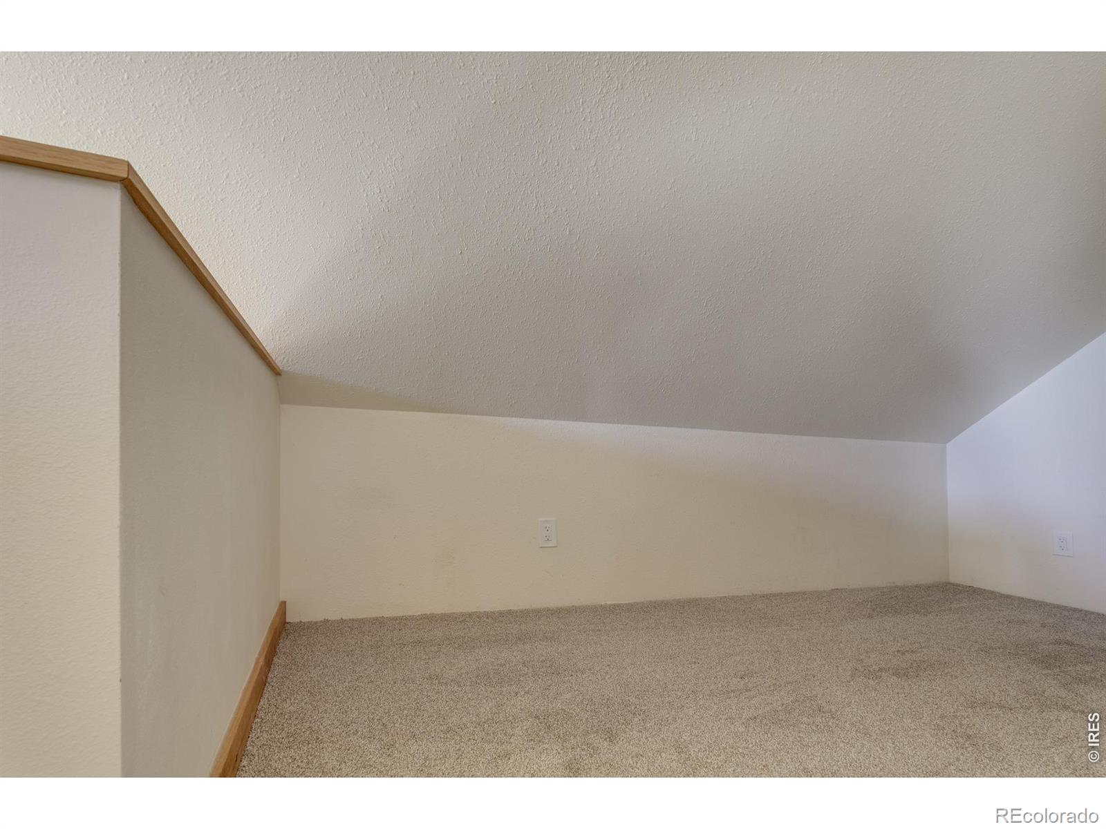1893 Colard Lane Lyons CO 80540