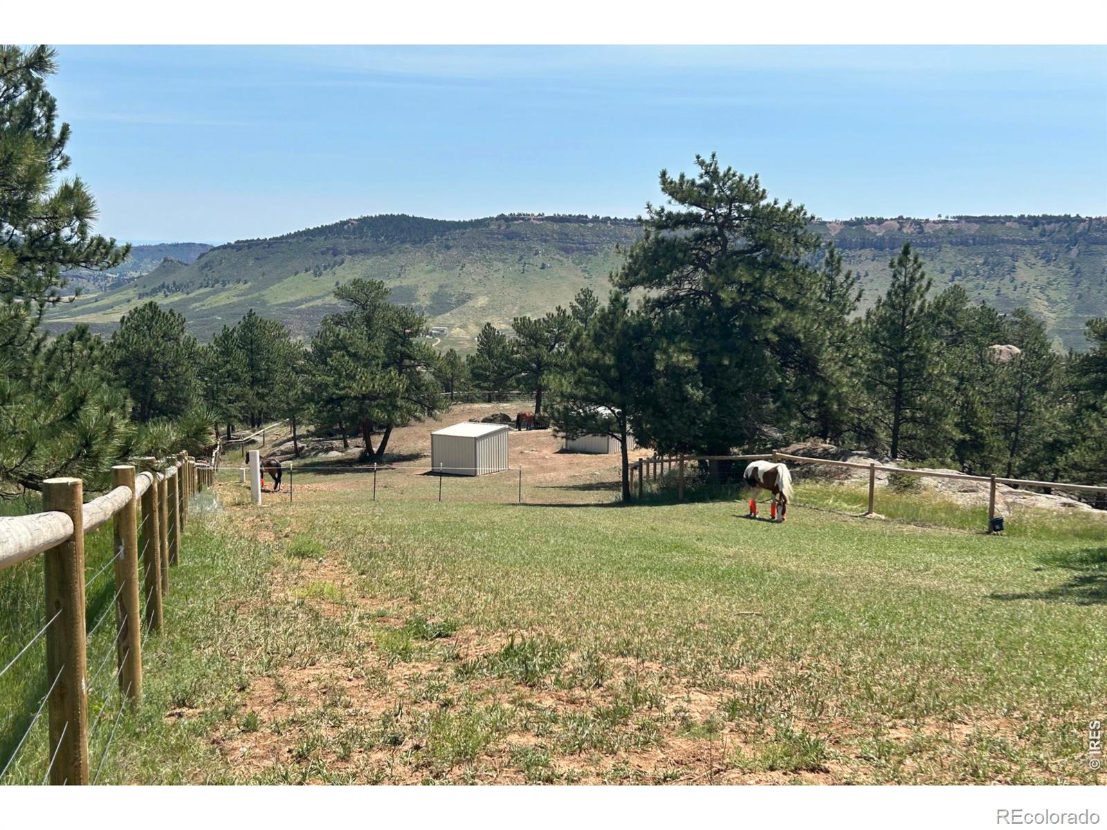 1893 Colard Lane Lyons CO 80540