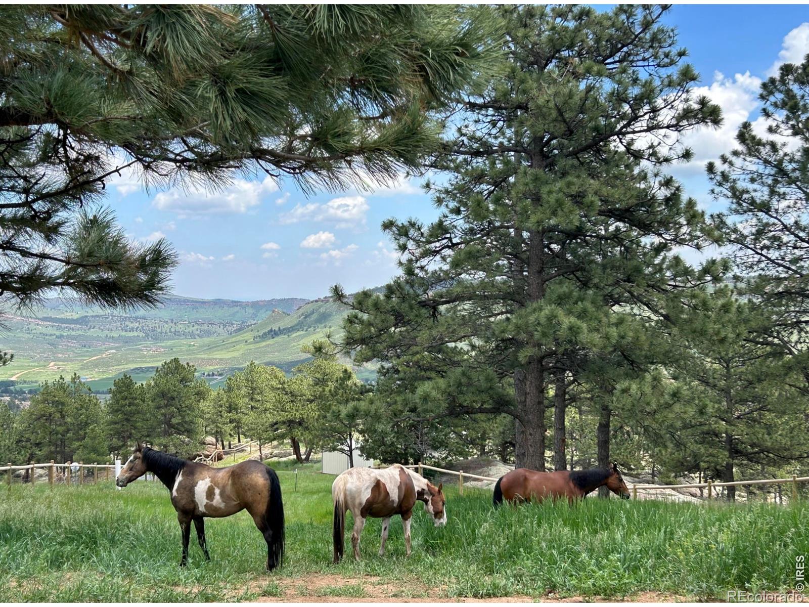 1893 Colard Lane Lyons CO 80540