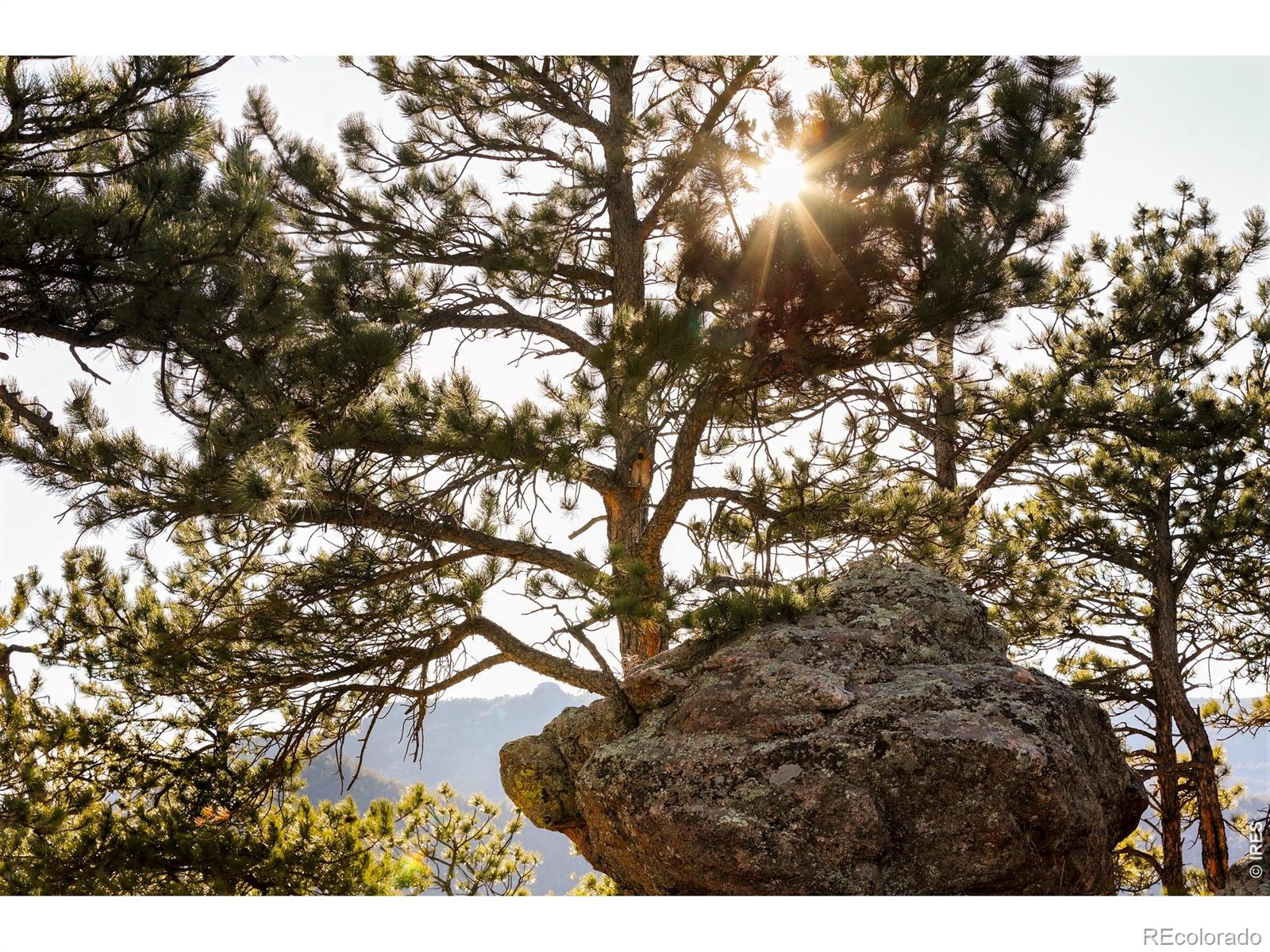 1893 Colard Lane Lyons CO 80540