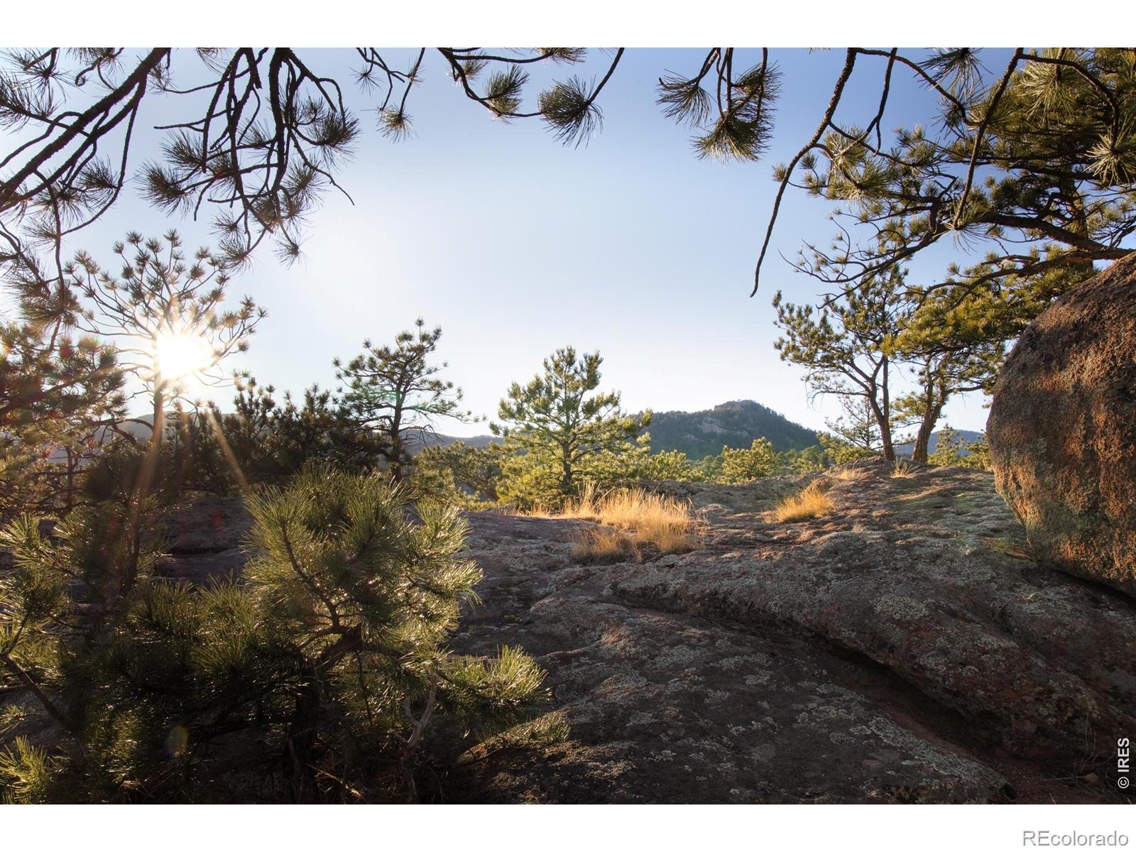 1893 Colard Lane Lyons CO 80540