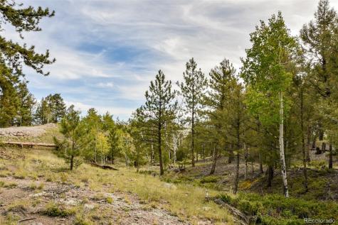 1141 Bridle Path Hartsel CO 80449