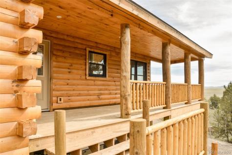 1141 Bridle Path Hartsel CO 80449