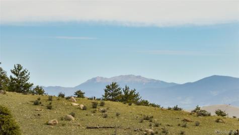 1141 Bridle Path Hartsel CO 80449