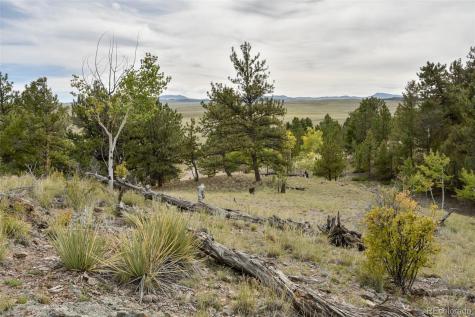 1141 Bridle Path Hartsel CO 80449