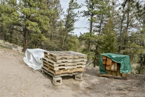 1141 Bridle Path Hartsel CO 80449