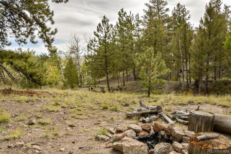 1141 Bridle Path Hartsel CO 80449