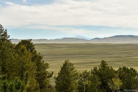 1141 Bridle Path Hartsel CO 80449