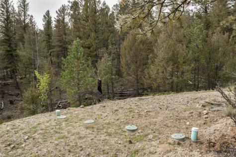 1141 Bridle Path Hartsel CO 80449