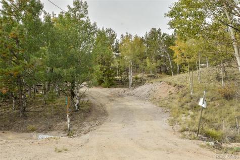1141 Bridle Path Hartsel CO 80449