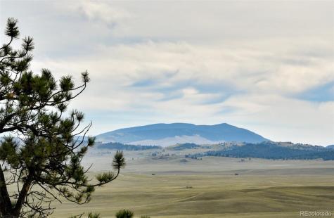 1141 Bridle Path Hartsel CO 80449