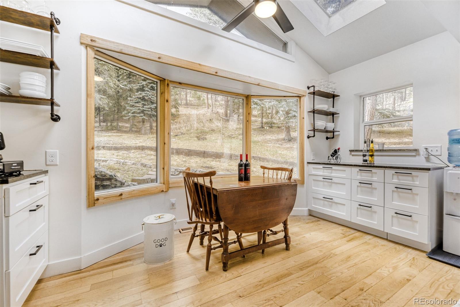 7489 S Turkey Creek Road Morrison CO 80465