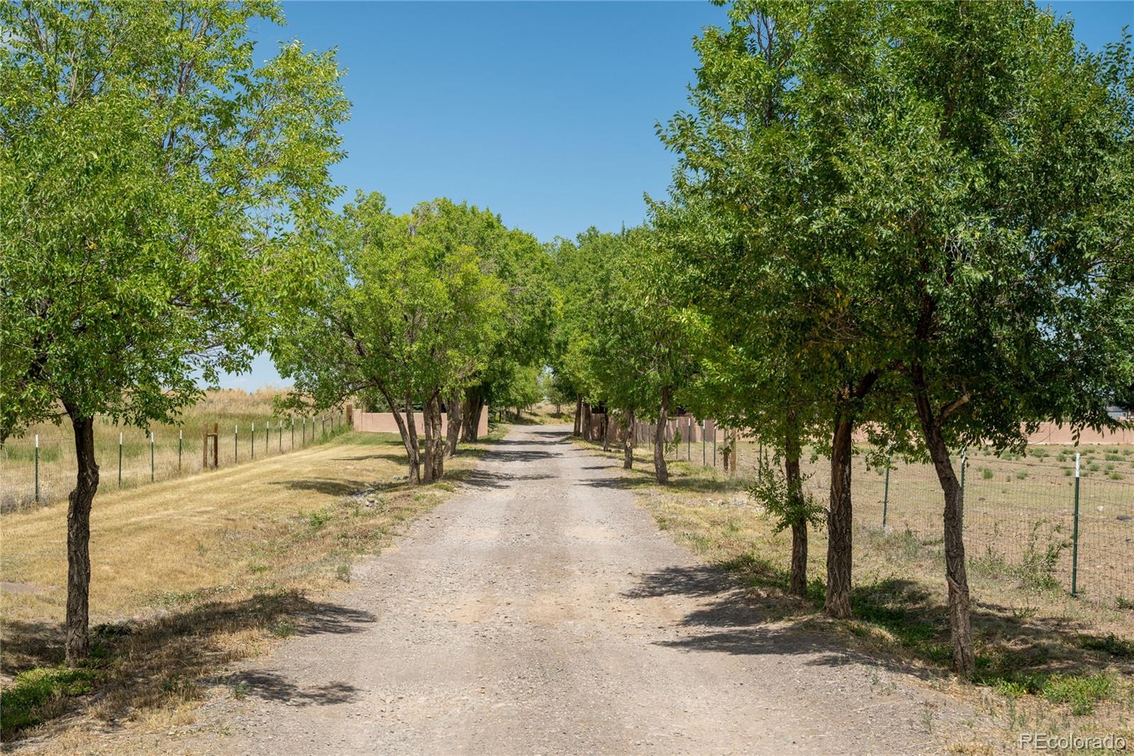 11743 County Road J Antonito CO 81120